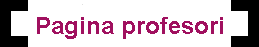 Pagina profesori